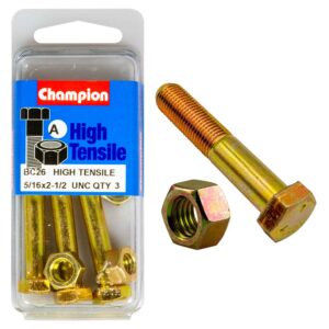 Champion 2-1/2in x 5/16in Bolt & Nut (A) - GR5