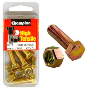 Champion 1 x 5/16in Set Screw & Nut (A) - GR5