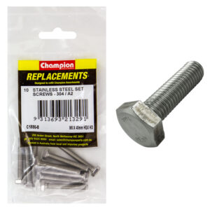 Champion M6 x 40mm Stainless Set Screw 304/A2 -10pk