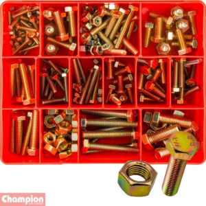 Champion 221pc Metric Set Screw & Nut Assortment