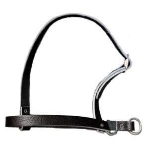 Taurus Leather Calf Leading Halter Black