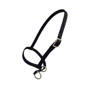 Taurus Nylon Calf Leading Halter Black