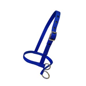 Taurus Nylon Calf Leading Halter Blue