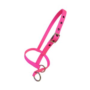 Taurus Nylon Calf Leading Halter Hot Pink