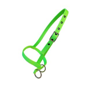 Taurus Nylon Calf Leading Halter Lime Green
