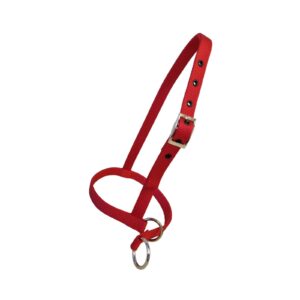 Taurus Nylon Calf Leading Halter Red