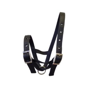 Taurus Nylon Calf Tethering Halter Black