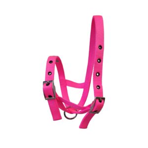 Taurus Nylon Calf Tethering Halter Hot Pink