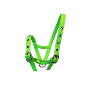 Taurus Nylon Calf Tethering Halter Lime Green