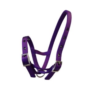 Taurus Nylon Calf Tethering Halter Purple