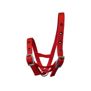 Taurus Nylon Calf Tethering Halter Red