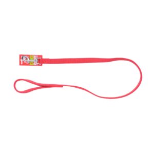 Taurus Nylon Dbl Thickness Lead 19mm X 105cm Red