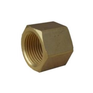 CO2 Spigot Nut